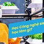 Những Chính Sách Về Nông Nghiệp Ở Mỹ 2024