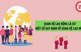 Quan Hệ Lao Động Gồm Những Quan Hệ Nào